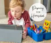 How To Prepare For A New Homeschool Year - Bliss This Mess